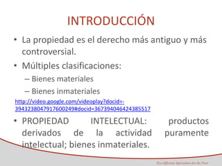 Taller semillas 2011 Maria Virginia Jaramillo