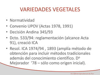 Taller semillas 2011 Maria Virginia Jaramillo