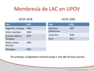 Taller semillas 2011 Maria Virginia Jaramillo