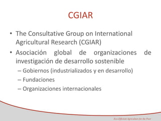 Taller semillas 2011 Maria Virginia Jaramillo