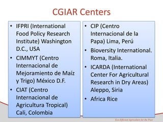 Taller semillas 2011 Maria Virginia Jaramillo