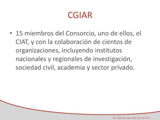 Taller semillas 2011 Maria Virginia Jaramillo