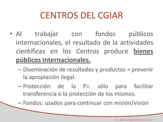 Taller semillas 2011 Maria Virginia Jaramillo