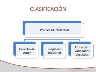 Taller semillas 2011 Maria Virginia Jaramillo