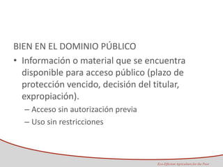 Taller semillas 2011 Maria Virginia Jaramillo