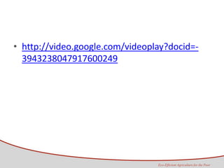 Taller semillas 2011 Maria Virginia Jaramillo