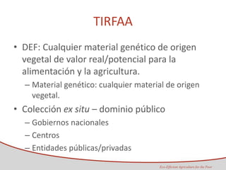 Taller semillas 2011 Maria Virginia Jaramillo