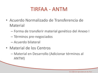 Taller semillas 2011 Maria Virginia Jaramillo