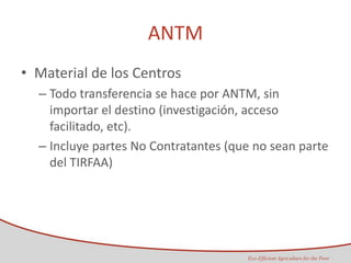 Taller semillas 2011 Maria Virginia Jaramillo