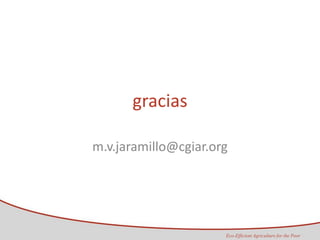 Taller semillas 2011 Maria Virginia Jaramillo