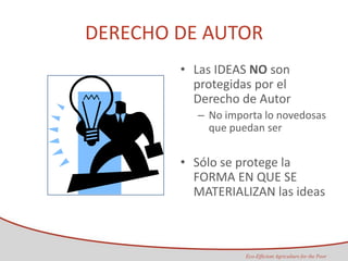 Taller semillas 2011 Maria Virginia Jaramillo