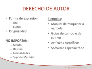 Taller semillas 2011 Maria Virginia Jaramillo