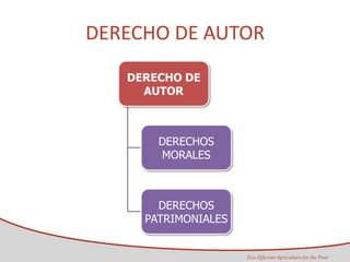 Taller semillas 2011 Maria Virginia Jaramillo