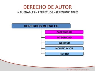 Taller semillas 2011 Maria Virginia Jaramillo