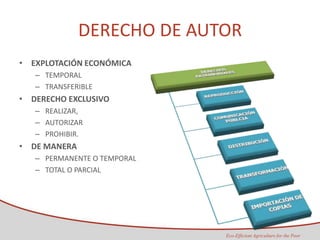 Taller semillas 2011 Maria Virginia Jaramillo