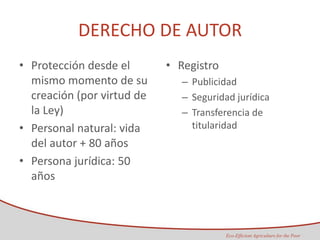 Taller semillas 2011 Maria Virginia Jaramillo