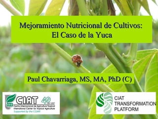 Mejoramiento Nutricional de Cultivos:  El Caso de la Yuca Paul Chavarriaga, MS, MA, PhD (C) 