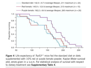 Figure 3  Expression of Del and Ros1 causes the upregulation of genes required for anthocyanin biosynthesis and results in increased PAL activity and higher total antioxidant capacity. (a) Northern blots showing the differential expression of several anthocyanin biosynthetic genes identified by suppression subtractive hybridization. (b) Schematic representation of the anthocyanin biosynthetic pathway. Flavonoid classes relevant to this article are shown in boxes. Yellow box, flavonols; purple box, anthocyanins; PAL, phenylalanine ammonia lyase; 4CL, 4-coumarate:coenzyme A ligase; C4H, cinnamate 4-hydroxylase; C3H, 4-coumarate 3-hydroxylase; CHS, chalcone synthase; CHI, chalcone isomerase; F3H, flavanone-3-hydroxylase; F3¢H, flavonoid-3¢-hydroxylase; F3¢5¢H, flavonoid-3¢5¢-hydroxylase; FLS, flavonol synthase; DFR, dihydroflavonol reductase; ANS, anthocyanidin synthase; 3-GT, flavonoid 3-O-glucosyltransferase; RT, flavonoid 3-O-glucoside-rhamnosyltransferase AAC, anthocyanin acyltransferase; 5-GT, flavonoid-5-glucosyltransferase; GST, glutathione S-transferase; PAT, putative anthocyanin transporter. PAT and GST may be involved in transport of anthocyanins into the vacuole (purple circle). X, acyl group on the 3-glucoside moiety of the anthocyanin. (c) Analysis of specific PAL activity in ripe tomato fruit from wild-type and transgenic lines Del/Ros1C and Del/Ros1N. Histograms represent mean values ± s.d. of separate measurements (n ¼ 3). Results were confirmed in two additional independent experiments. (d) Analysis of hydrophilic and lipophilic antioxidant activity in ripe tomato fruit from wild-type and transgenic lines Del/Ros1C and Del/Ros1N. Data represent mean values ± s.d. and are derived from at least seven tomatoes per plant. 