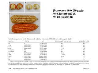  -caroteno 169X (60   g/g) Vit C (ascorbato) 6X Vit B9 (folato) 2X 