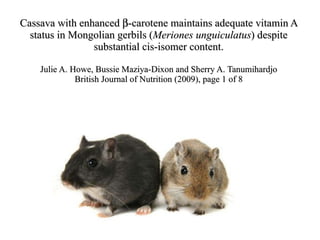 Cassava with enhanced   -carotene maintains adequate vitamin A status in Mongolian gerbils ( Meriones unguiculatus ) despite substantial cis-isomer content. Julie A. Howe, Bussie Maziya-Dixon and Sherry A. Tanumihardjo British Journal of Nutrition (2009), page 1 of 8 