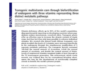 Taller semillas 2011 Paul Chavarriaga