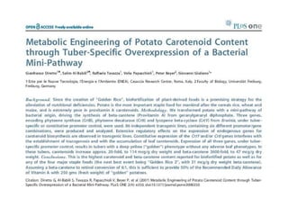 Taller semillas 2011 Paul Chavarriaga