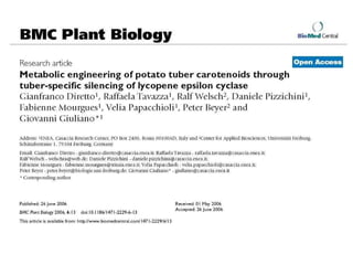 Taller semillas 2011 Paul Chavarriaga