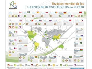 Taller semillas 2011 Paul Chavarriaga