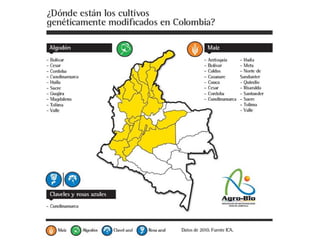 Taller semillas 2011 Paul Chavarriaga