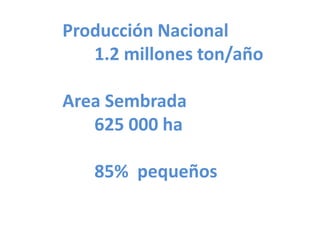 Taller semillas 2011 Silmar T Peske