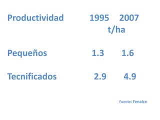 Taller semillas 2011 Silmar T Peske