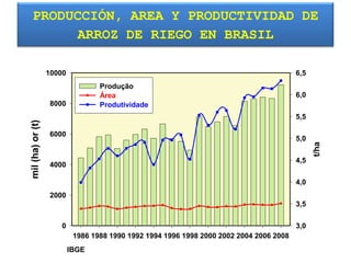 Taller semillas 2011 Silmar T Peske