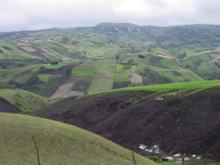 Taller semillas 2011 Silmar T Peske