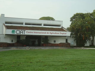 Taller semillas 2011 Silmar T Peske