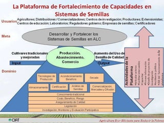 Taller semillas 2011 Silmar T Peske