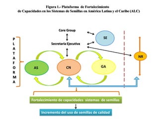 Taller semillas 2011 Silmar T Peske