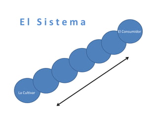Taller semillas 2011 Silmar T Peske