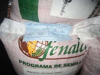 Taller semillas 2011 Silmar T Peske