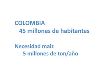 Taller semillas 2011 Silmar T Peske