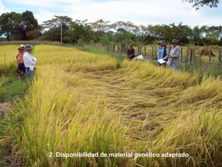 Taller semillas 2011 Dietrich E. Leihner