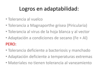 Taller semillas 2011 Dietrich E. Leihner