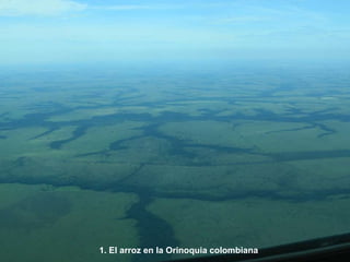 Taller semillas 2011 Dietrich E. Leihner