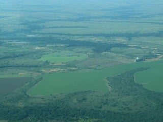 Taller semillas 2011 Dietrich E. Leihner