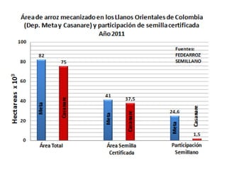 Taller semillas 2011 Dietrich E. Leihner