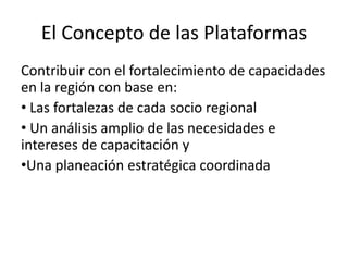 Taller semillas 2011 Simone Staiger