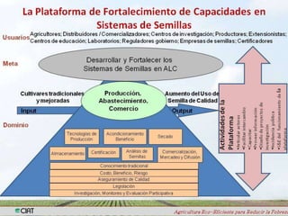 Taller semillas 2011 Simone Staiger