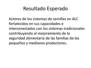 Taller semillas 2011 Simone Staiger