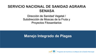 Manejo Integrado de Plagas
Dirección de Sanidad Vegetal /
Subdirección de Moscas de la Fruta y
Proyectos Fitosanitarios
Programa de Incentivos a la Mejora de la Gestión Municipal
 