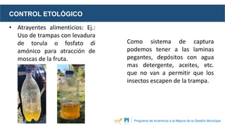 CONTROL ETOLÓGICO
Programa de Incentivos a la Mejora de la Gestión Municipal
• Atrayentes alimenticios: Ej.:
Uso de trampa...