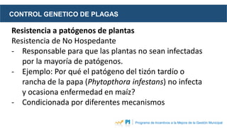 CONTROL GENETICO DE PLAGAS
Programa de Incentivos a la Mejora de la Gestión Municipal
Resistencia a patógenos de plantas
R...